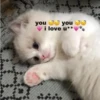 kitty love ♡ 12