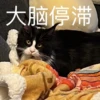 猫猫爵爵 10