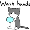 Silver and white cat 30