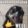 KUMAHA BARUDAK WELL