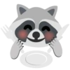 Raccoon 24