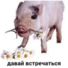 Давай встречаться