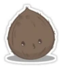 Coconuts-nuts 4