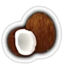 Coconuts-nuts 5