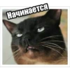 Начинается