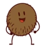 Coconuts-nuts 8