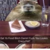 capybara 10