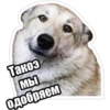 Такоэ Мы одобряем