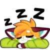 Z Z N N N