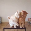 Nirvana: Hugs? 10