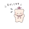 bear ୨୧ @softsticks 9