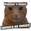 Хорошо, я понял Сничего не понял)