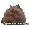 *бурчит по-стариковски