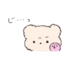 bear ୨୧ @softsticks 10
