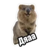 Дяаа