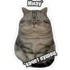 Миау* Схочет кушоЦ