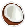 Coconuts-nuts 16