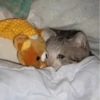 Nirvana: Hugs? 16