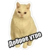 Доброе утро