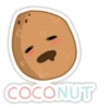 Coconuts-nuts 17