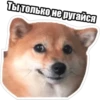Ты только не ругайся