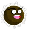 Coconuts-nuts 20