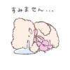 bear ୨୧ @softsticks 22