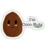 Coconuts-nuts 22