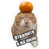 Отвалите Я на чиле