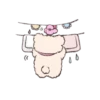 bear ୨୧ @softsticks 25