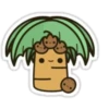 Coconuts-nuts 25