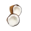Coconuts-nuts 26