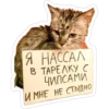 Я нассал В тарелку с Чипсами И МНЕ НЕ СТЫДНО