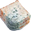 гнилой хлеб 9