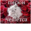 писюн - чешетса