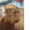 capybara 29