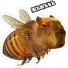 жъжъъъ
