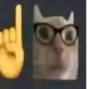 omg 29