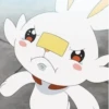 pokemon 11