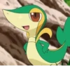 pokemon 13