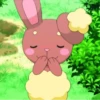 pokemon 17