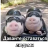 PANDA Великий хан by @stqrapp 9