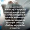 meowjfkndslog 22