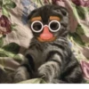 meowjfkndslog 23