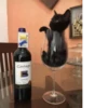 GatoNegro Carmenère SAN PERMED