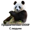 PANDA Великий хан by @stqrapp 15