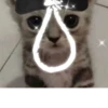 meowjfkndslog 26