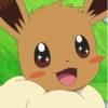 pokemon 28