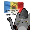ПодписывайсR @friends_md 29