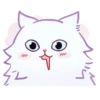 ⪩ ꒰ white kitten ꒱ ⪨ @svalkablin 5
